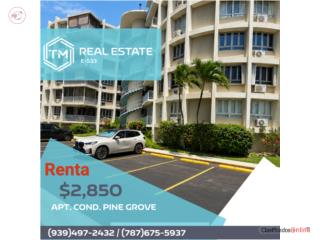 PINE GROVE | BEACH ACCESS | FURNISHED