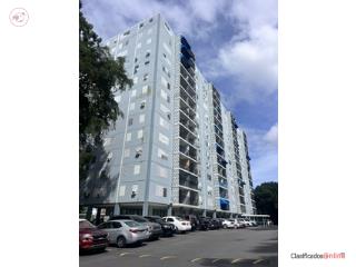¡Apartamento en renta en Borinquen Tower!