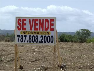 Puerto Rico - Bienes Raices VentaSolares 3,000 mc. Carr. 305 comercial/residencial Puerto Rico