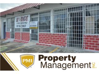 Ave. Betances 3 locales comerciales, BayamónReal Estate Puerto Rico Bienes Raices