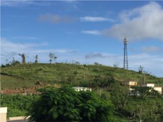 Puerto Rico - Bienes Raices VentaSe venden 4 solares - Aguas Buenas - Rebajados Puerto Rico