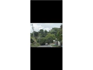 Puerto Rico - Bienes Raices VentaSector Matojo Quebrada Grande, Trujillo Alto Puerto Rico