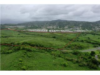 Puerto Rico - Bienes Raices VentaParcela K en Humacao - 135 acres  Puerto Rico