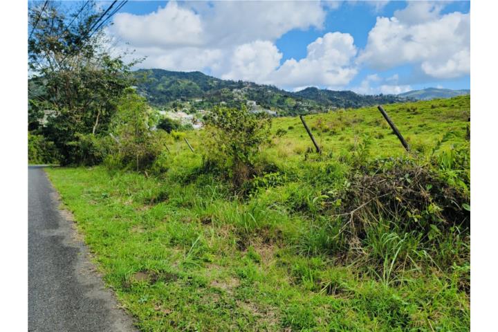 Cidra Puerto Rico Real Estate