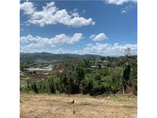 Puerto Rico - Bienes Raices VentaTerreno con vista - Trujillo Alto Puerto Rico