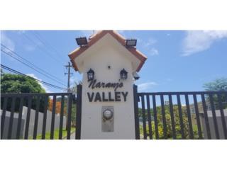 Puerto Rico - Bienes Raices VentaNaranjo Valley**1143 METROS Puerto Rico