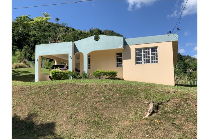 San Lorenzo Puerto Rico, Venta Bienes Raíces Morovis Puerto Rico, Real ...