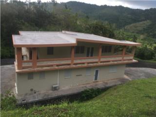 Puerto Rico - Bienes Raices Venta2 Casas en 6 Cuerdas de terreno Puerto Rico