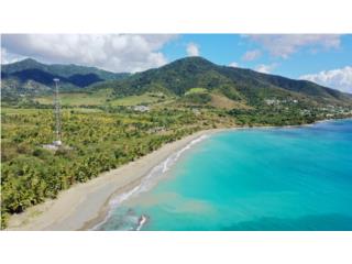 Puerto Rico - Bienes Raices VentaBeachfront farm 67acres with 1 mile of beach Puerto Rico