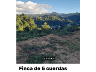 Puerto Rico - Bienes Raices VentaFinca 5 cuerdas Guaraguao con terrapln vista Puerto Rico