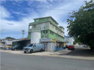 Puerto Rico - Bienes Raices VentaEDIFICIO COMERCIAL - Caparra Heights Puerto Rico