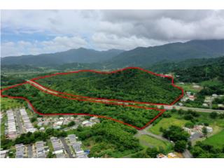 Puerto Rico - Bienes Raices VentaTerreno para desarrollo en Naguabo - 90 acres Puerto Rico