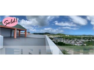 Puerto Rico - Bienes Raices VentaPH The View @ LA LOMA FAJ 00738 Puerto Rico