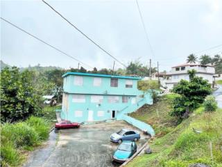 Puerto Rico - Bienes Raices VentaBarrio Ceiba en Cidra Puerto Rico