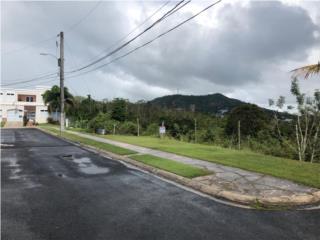 Puerto Rico - Bienes Raices VentaExcelente lugar para construir su hogar  Puerto Rico