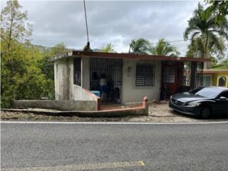 Puerto Rico - Bienes Raices Venta Propiedad ubicada en Bo. Botijas, Orocovis Puerto Rico