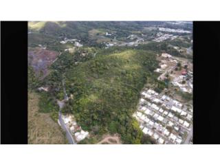 Puerto Rico - Bienes Raices VentaGreat Land to Invest Juana Diaz Puerto Rico