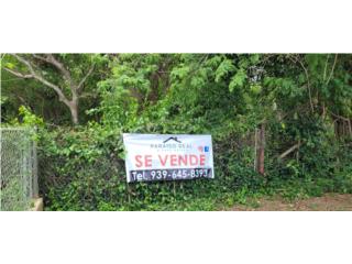 Puerto Rico - Bienes Raices VentaAVE. NOEL ESTRADA  CARR 113 COTO , ISABELA Puerto Rico
