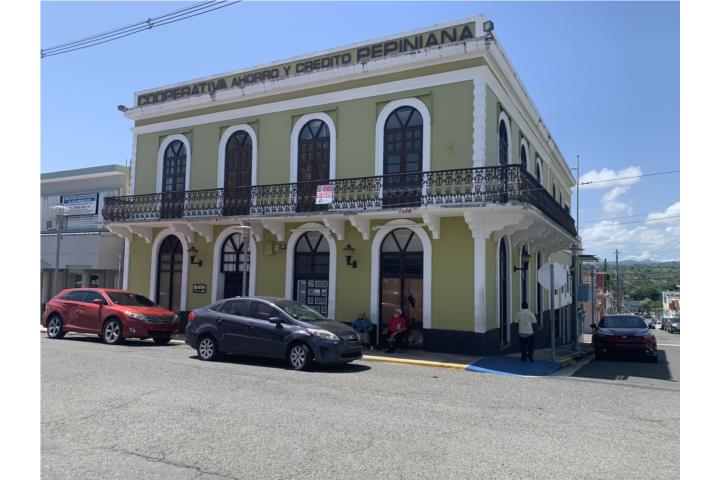 Pueblo - San Sebastian Puerto Rico, Venta Bienes Raíces San Sebastián