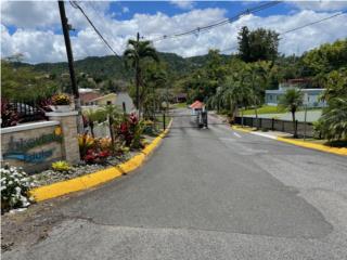 Puerto Rico - Bienes Raices VentaLake View Estates-solar con 2,015 metros2 Puerto Rico