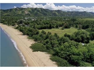 Puerto Rico - Bienes Raices VentaLargest Dream Lot, Beachfront on Aasco Puerto Rico