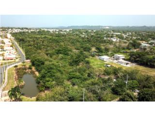 Puerto Rico - Bienes Raices VentaTerreno 32.48 acres para desarrollo  Puerto Rico