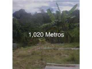 Puerto Rico - Bienes Raices VentaCerca Urb. Bayamn Garden 1020 metros 39,900 Puerto Rico