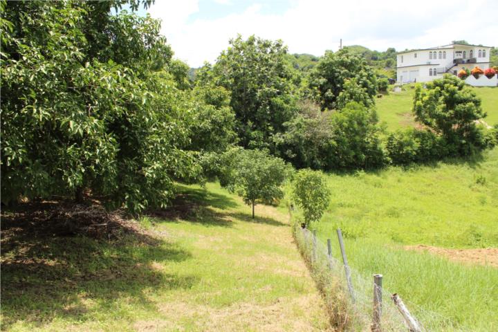 Calvache Puerto Rico, Venta Bienes Raíces Rincón Puerto Rico, Real