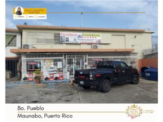 Puerto Rico - Bienes Raices VentaGran oportunidad Edificio comercial Puerto Rico
