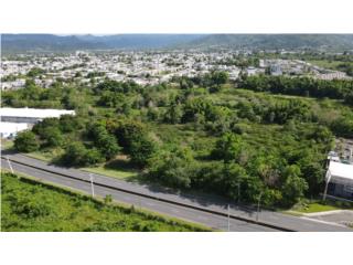 Puerto Rico - Bienes Raices VentaTerreno Comercial 9 Acres - Los Prados Puerto Rico