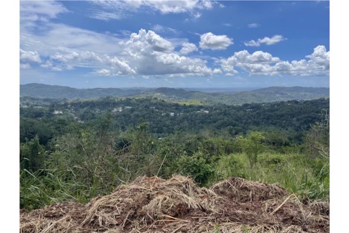 Naranjales Puerto Rico, Venta Bienes Raíces Mayagüez Puerto Rico, Real