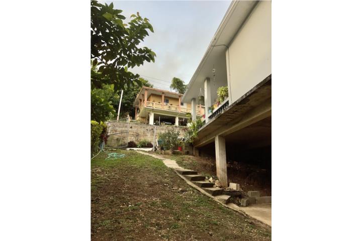 Juncal Puerto Rico, Venta Bienes Raíces San Sebastián Puerto Rico, Real