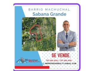 Puerto Rico - Bienes Raices VentaBarrio Machuchal,  Sector La Pica  Puerto Rico