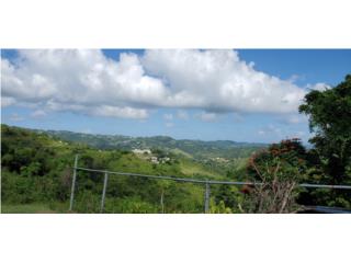 Puerto Rico - Bienes Raices Venta9 cuerdas  con vista panoramica Puerto Rico
