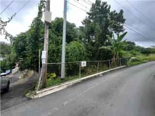 Puerto Rico - Bienes Raices VentaSolar ubicado en Bo. Unibon, Morovis Puerto Rico