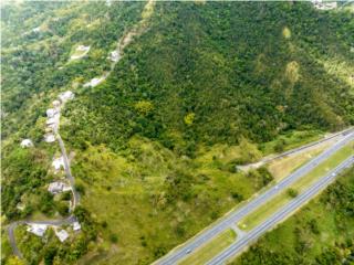Puerto Rico - Bienes Raices Venta12 acres en Cayey con acceso carr 52 Puerto Rico