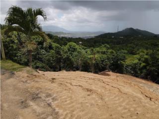 Puerto Rico - Bienes Raices VentaHermoso terreno en lugar tranquilo Puerto Rico