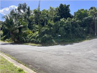 Puerto Rico - Bienes Raices VentaLinda Gardens lot 3050 mts @ 137k Puerto Rico