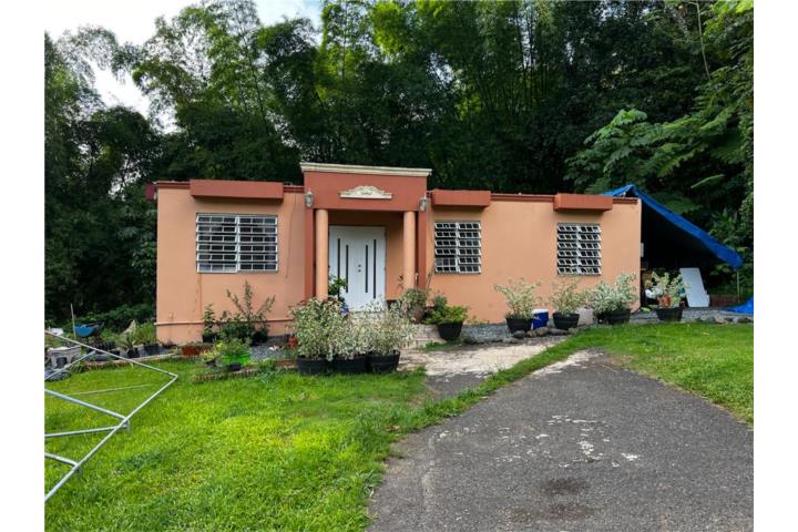 Quemado Puerto Rico, Venta Bienes Raíces Mayagüez Puerto Rico, Real