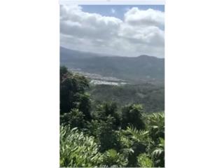 Puerto Rico - Bienes Raices VentaLa Mesa con Bella Vista 1 Cuerda Puerto Rico