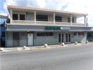 Puerto Rico - Bienes Raices VentaMayaguez Commercial Property w/ Apts Puerto Rico