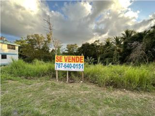 Puerto Rico - Bienes Raices VentaCarr. 198 km. 2.2 Juncos Puerto Rico