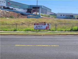 Puerto Rico - Bienes Raices VentaSOLAR COMERCIAL, BO. PUENTE Puerto Rico
