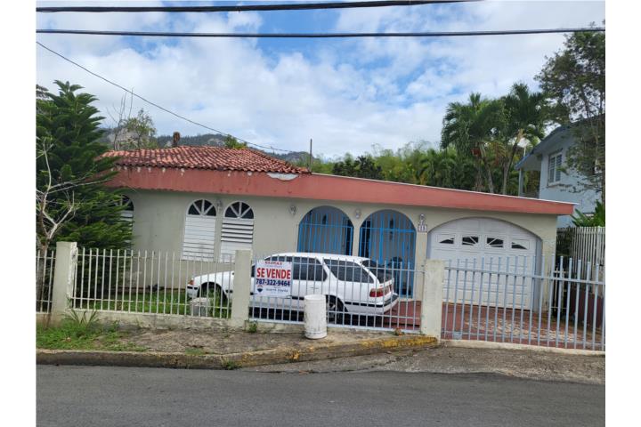 Jaguas Puerto Rico, Venta Bienes Raíces Ciales Puerto Rico, Real Estate ...