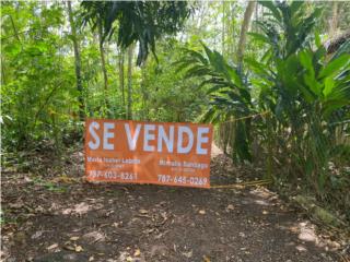 Puerto Rico - Bienes Raices VentaNuevo en el Mercado Terreno en Cabo Rojo Puerto Rico