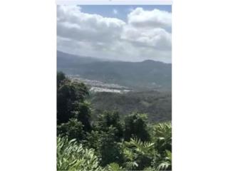 Puerto Rico - Bienes Raices VentaLa Mesa Una Cuerda Puerto Rico