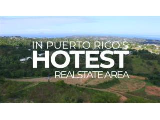 Puerto Rico - Bienes Raices VentaFinca de 14 cuerdas en Rincon. Hermosa Vista! Puerto Rico