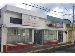Puerto Rico - Bienes Raices VentaSe Vende Local Comercial  Calle Georgetti # 60 Puerto Rico