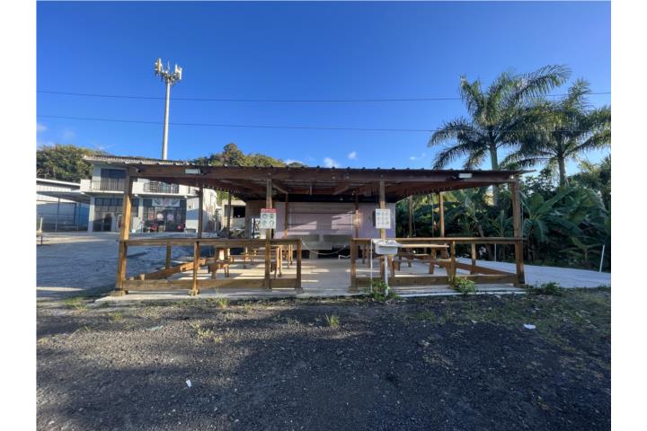 Montellano Puerto Rico Venta Bienes Raíces Cayey Puerto Rico Real