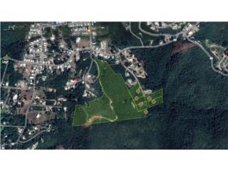 Puerto Rico - Bienes Raices VentaSR-132 KM 18.6 (INTERIOR). QUEBRADA DEL AGUA  Puerto Rico